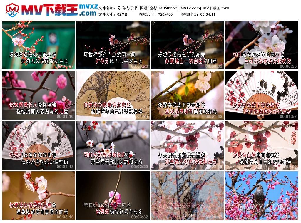 陈瑞-与子书_国语_流行_MD501523